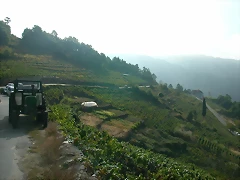 DSCN7488 DSCN7488