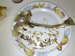 17102010684 17102010684