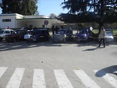 SDC12491 SDC12491