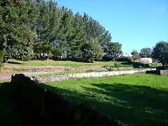 DSCN5495 DSCN5495