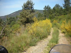 DSCN5731 DSCN5731