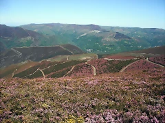 DSCF2563 DSCF2563