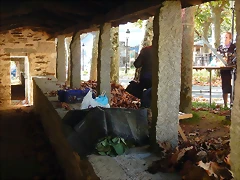 DSCN9806 DSCN9806