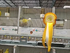 IMG_20170122_123437 IMG_20170122_123437