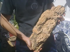 01062012519