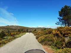 DSCN0133 DSCN0133
