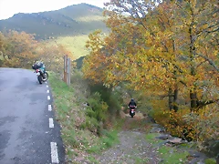 DSCN6131 DSCN6131