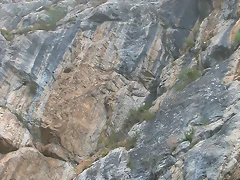 DSCN4458 DSCN4458