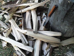 DSCF0975 DSCF0975