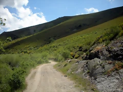 DSCN3984 DSCN3984