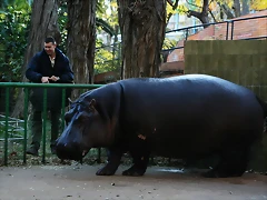Zoo de Barcelona 03-12-2010 091 Zoo de Barcelona 03-12-2010 091