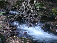 DSCN7921 DSCN7921