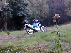 DSCN7915 DSCN7915