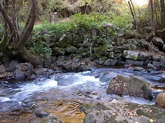 DSCN7913