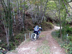 DSCN7917