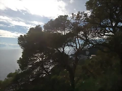 y27 y27