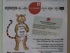 Le Parc des Felins agost 2010 941 Le Parc des Felins agost 2010 941