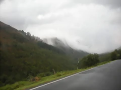 DSCN8485 DSCN8485