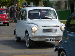 P1190235 P1190235