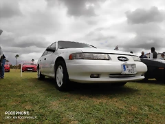 IMG_20190406_134904 IMG_20190406_134904