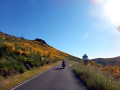 DSCN2082 DSCN2082