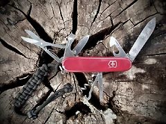 huntsman