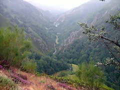 DSCN4246 DSCN4246