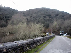 DSCN2786 DSCN2786