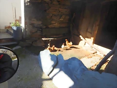DSCN9115 DSCN9115