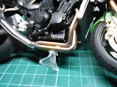 DSCN4571 DSCN4571