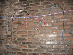 IMG_6689 IMG_6689