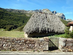 DSCN6366 DSCN6366