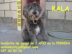 KALA La Rioja adoptada