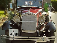 A M-36550