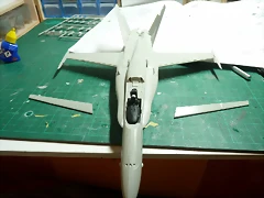 P1080968 P1080968