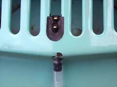 010