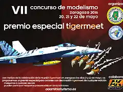 premio-tigermeet-vii-concurso-zaragoza-2016-1448x1024-03