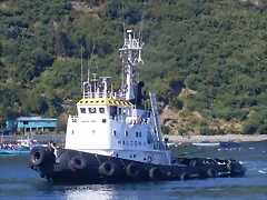 Halcon II