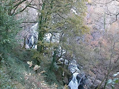 DSCN6675 DSCN6675