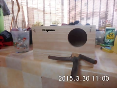 CIMG0874 CIMG0874