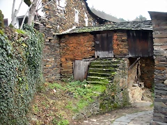 DSCN1153 DSCN1153