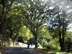 DSCN9822 DSCN9822