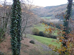 DSCN9290 DSCN9290