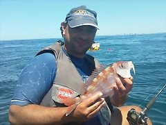 100_0063 100_0063