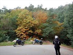 DSCN1909