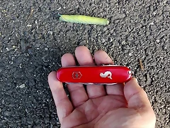 IMG-20171012-WA0043 IMG-20171012-WA0043