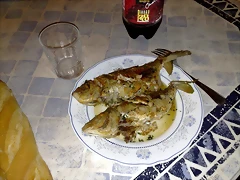 10082010605 10082010605
