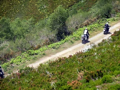 DSCN3953 DSCN3953