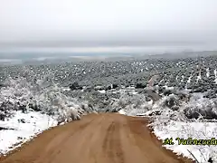 14, hacia la fuente del rosal1, marca