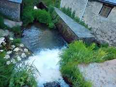DSCN2408 DSCN2408